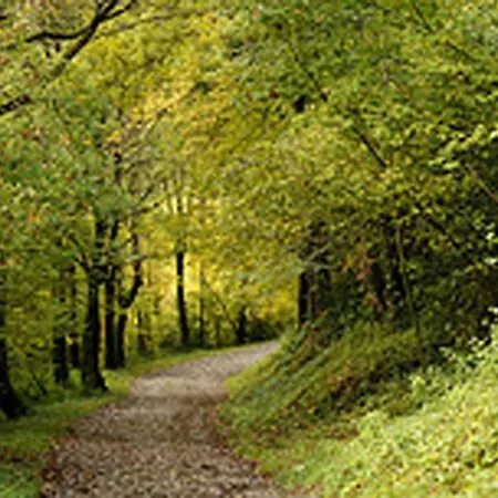 Hotel Sant Quirze De Besora Hotel Sant Quirze De Besora